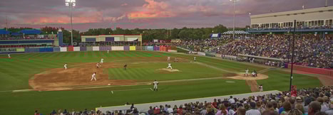 West Michigan Whitecaps category