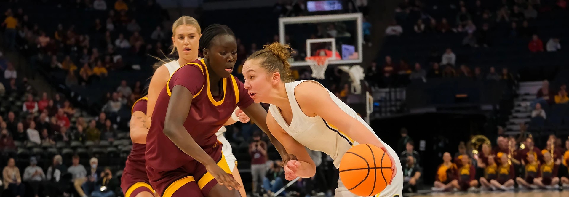 Image of Michigan Wolverines Womens Basketball