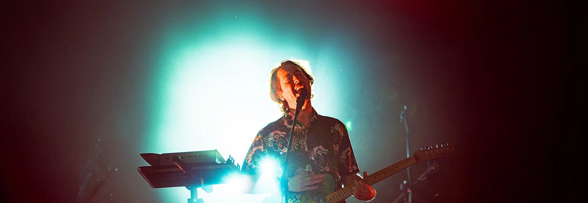 Image of The Wombats