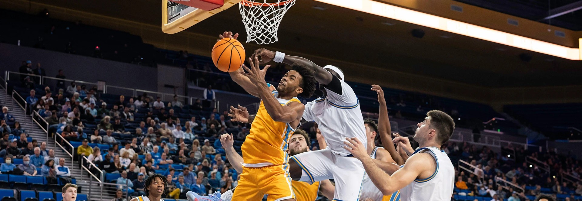 Image of LIU Sharks Mens Basketball Parking