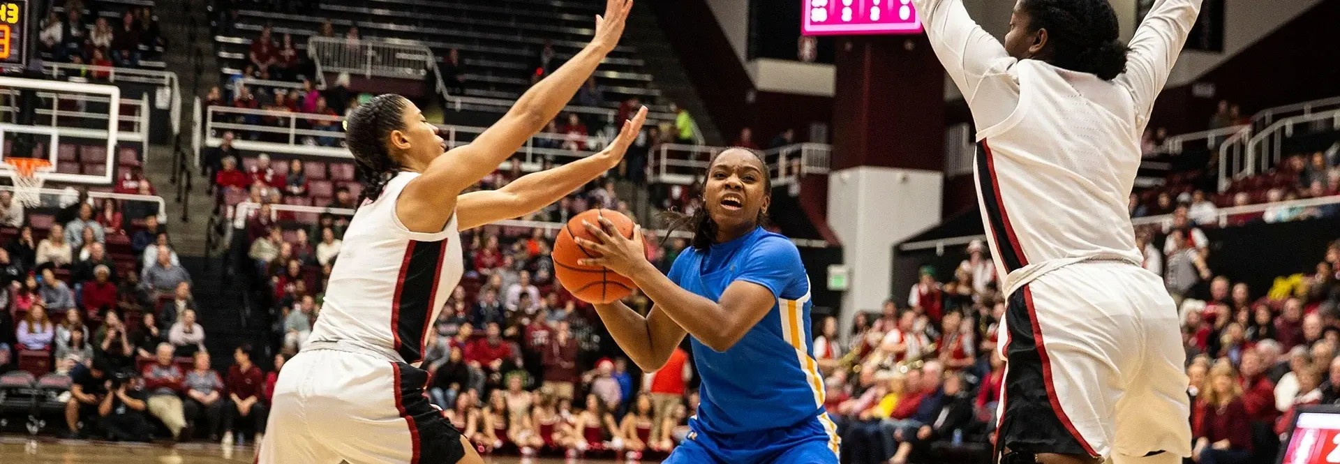 Image of UCLA Bruins Womens Basketball