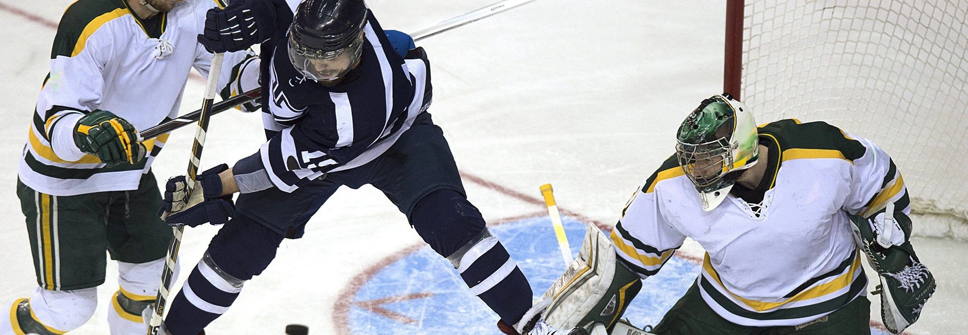 Image of Alberta Golden Bears Hockey