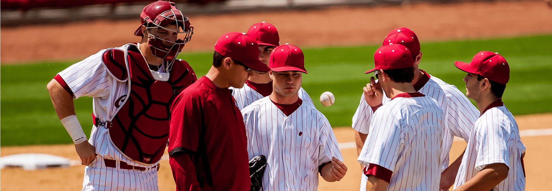Image of South Carolina Gamecocks Baseball