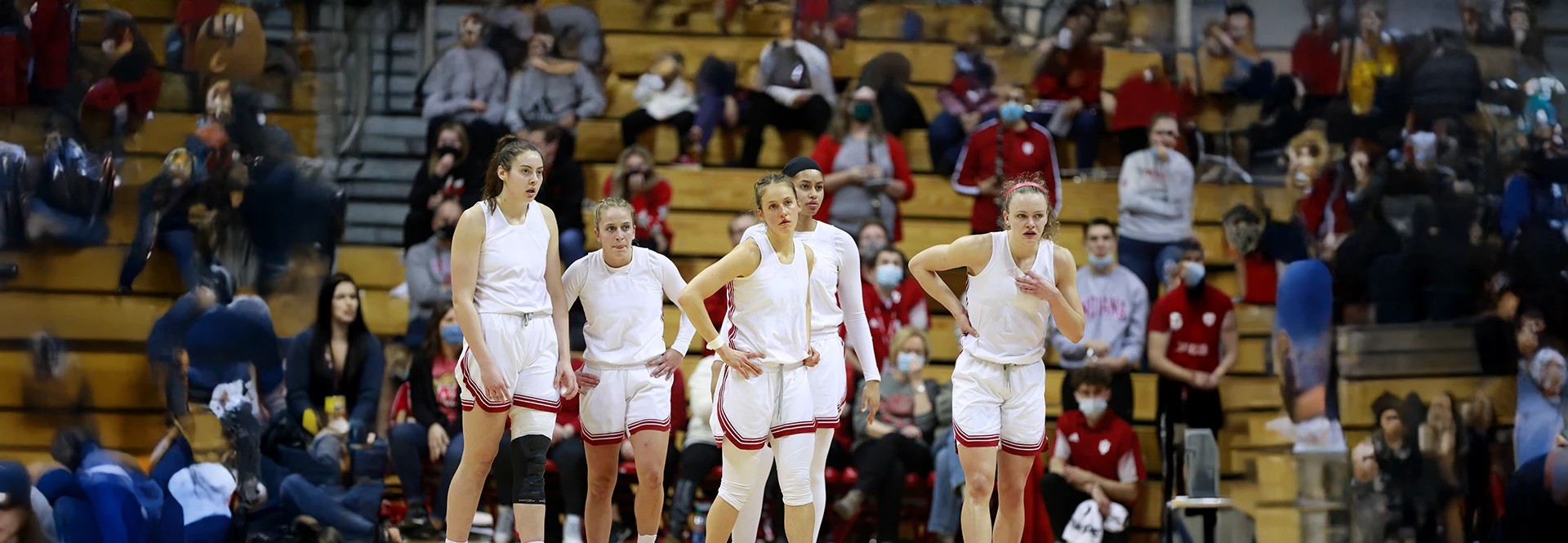 Image of Indiana Hoosiers Womens Basketball