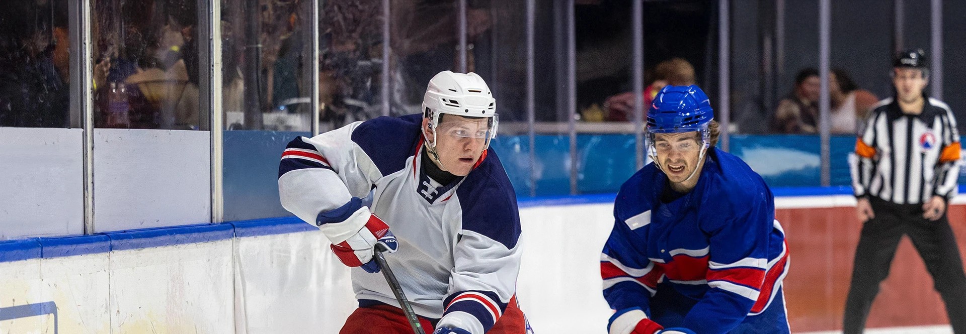 Image of Hartford Wolf Pack