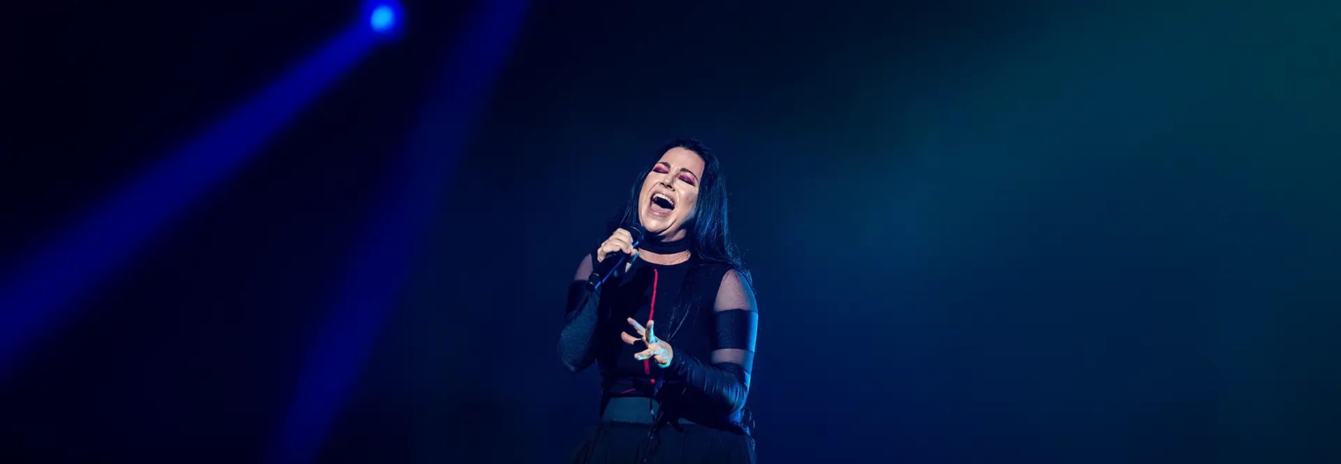 Image of Evanescence