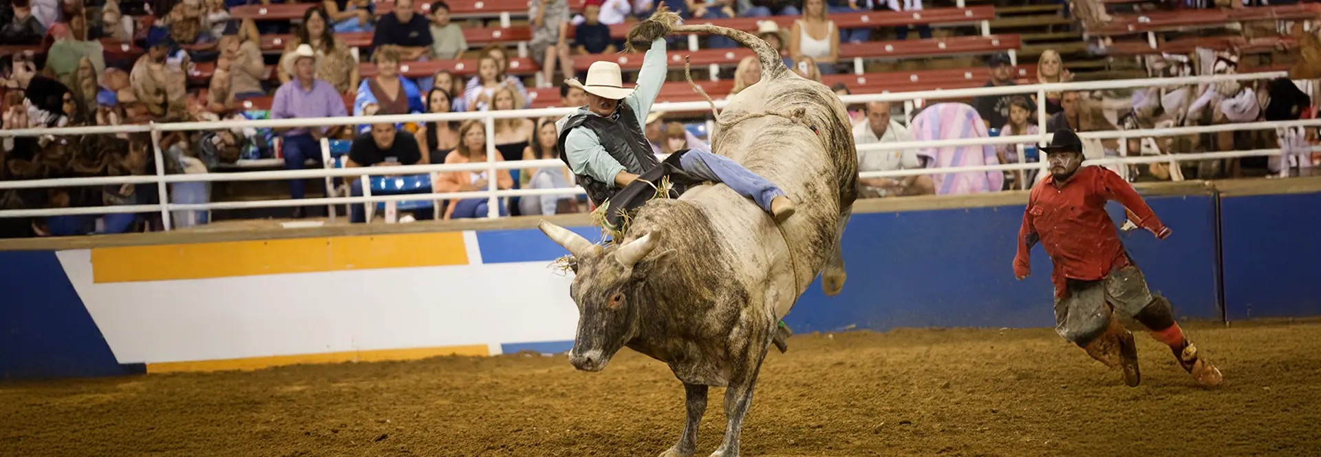 Image of Strathmore Stampede