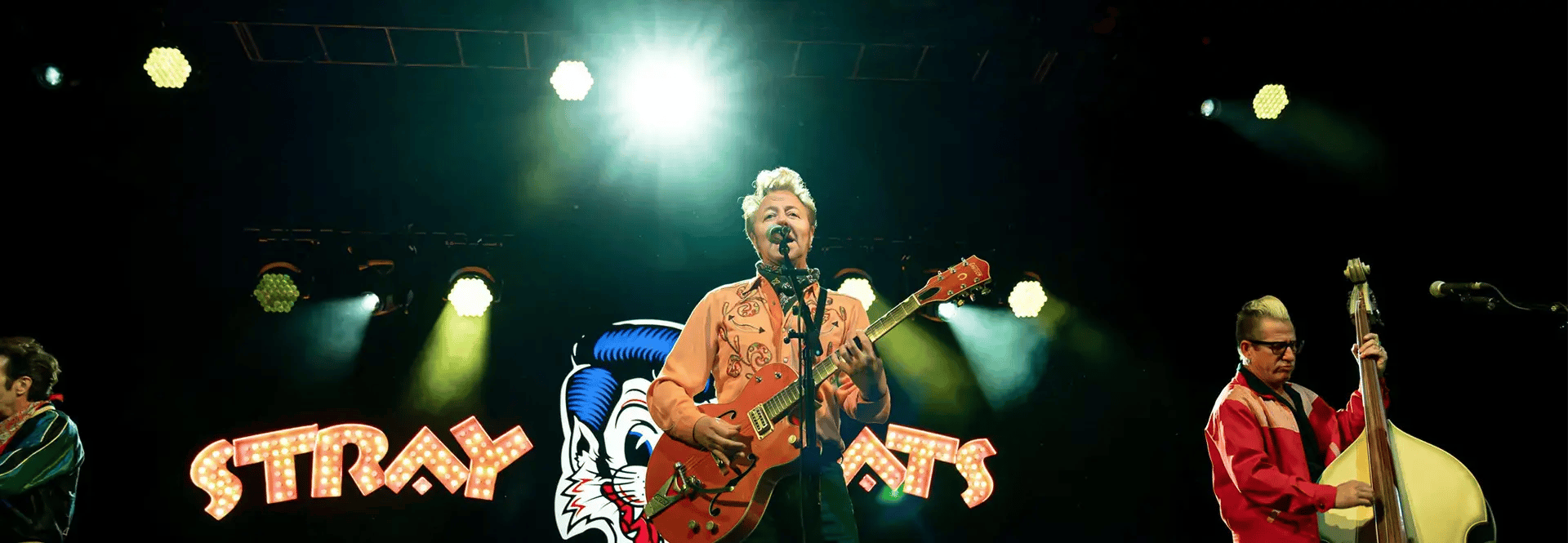 Image of Stray Cats