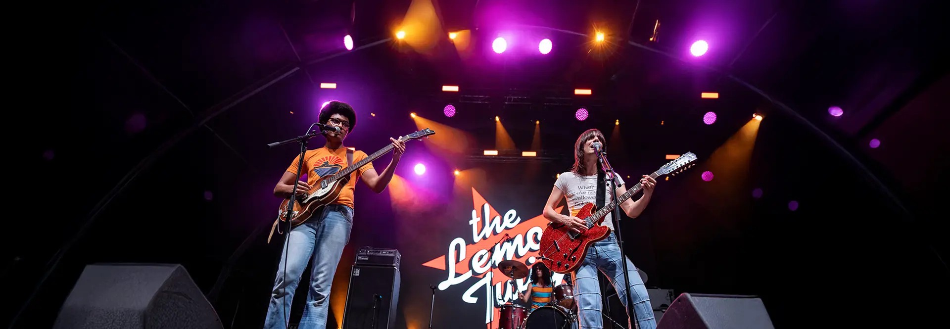 Image of The Lemon Twigs Parking