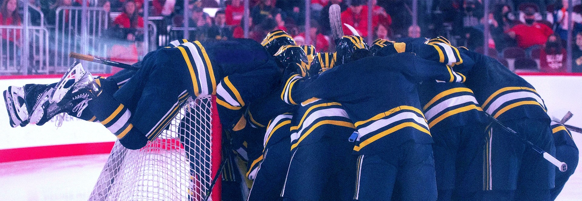 Image of Michigan Wolverines Mens Hockey Parking