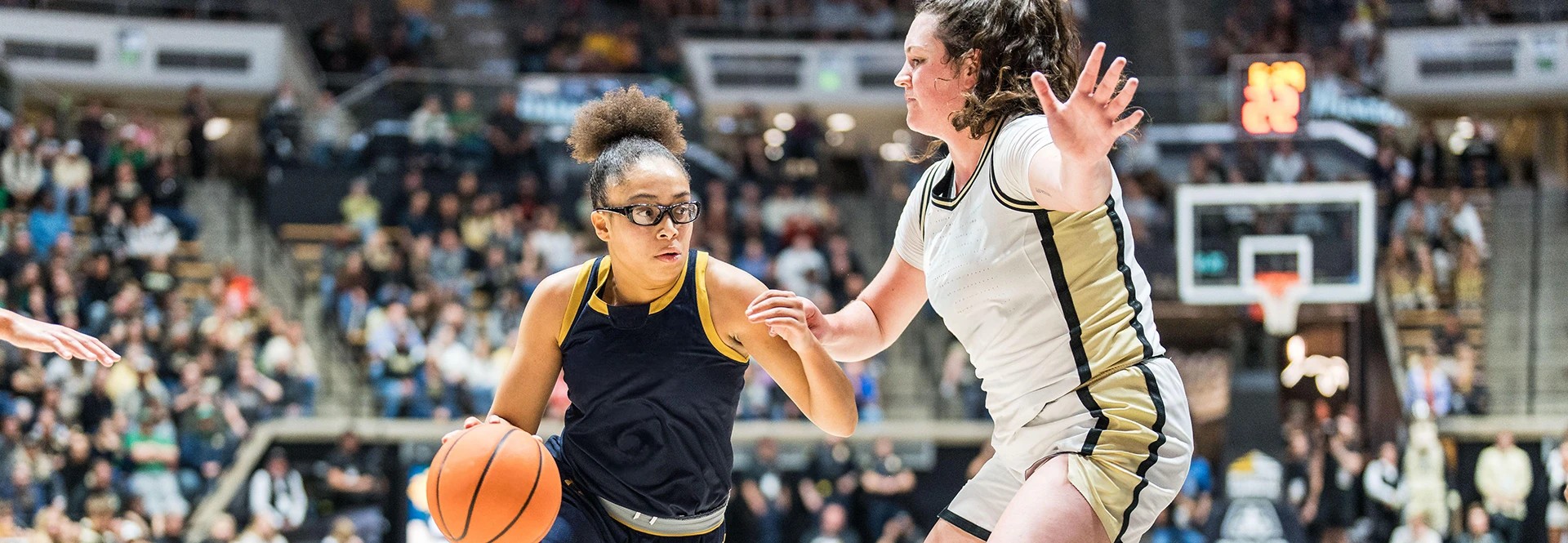 Image of Notre Dame Fighting Irish Womens Basketball