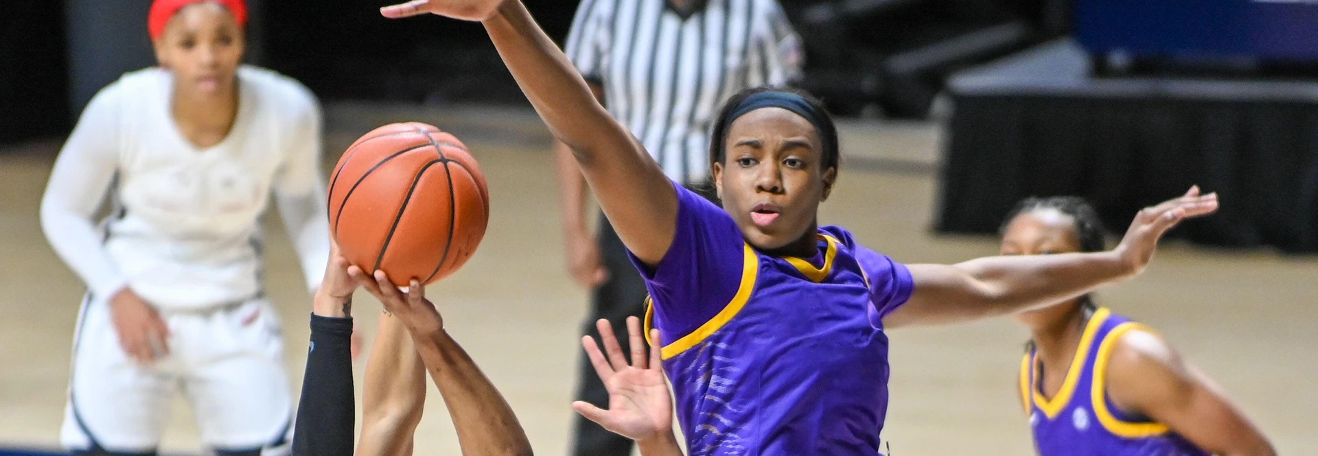 Image of LSU Tigers Womens Basketball