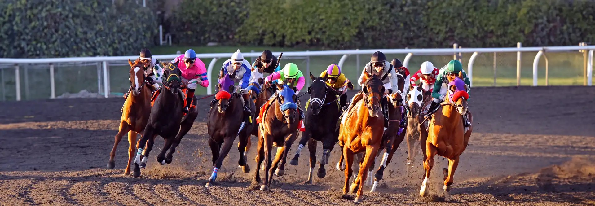 Image of Kentucky Derby Parking