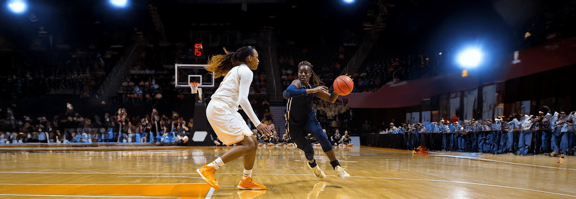 Image of Pittsburgh Panthers Womens Basketball