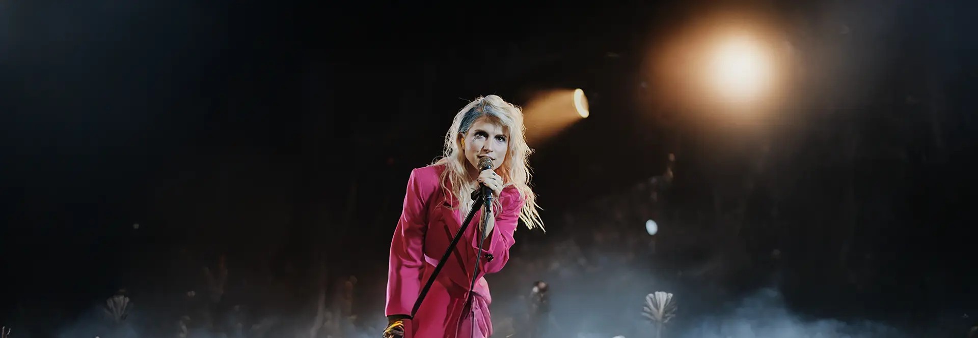 Image of Hayley Williams