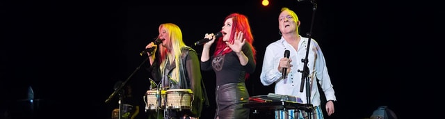 About The B-52s with Devo image