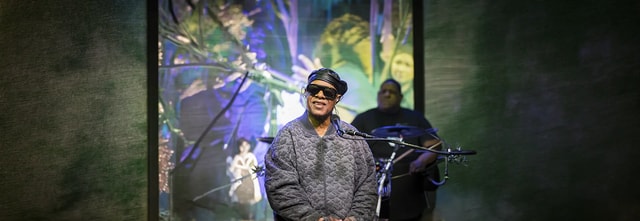 Stevie Wonder