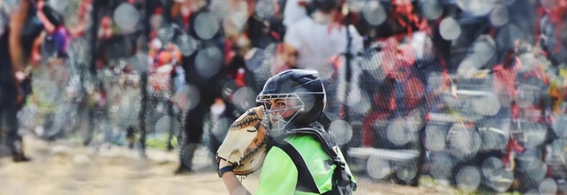 Clemson Tigers Softball Tickets - Clemson Tigers Softball Schedule and