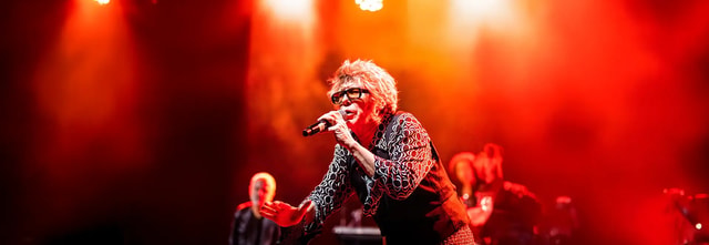The Psychedelic Furs
